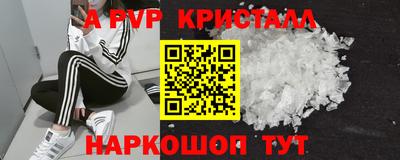 прущие грибы Гусиноозёрск