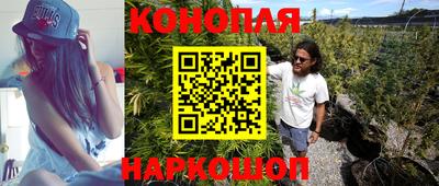 прущие грибы Гусиноозёрск