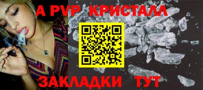 прущие грибы Гусиноозёрск